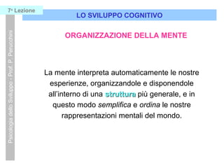 LO SVILUPPO COGNITIVO
PsicologiadelloSviluppo-Prof.P.Perucchini7a
Lezione
ORGANIZZAZIONE DELLA MENTE
La mente interpreta automaticamente le nostre
esperienze, organizzandole e disponendole
all’interno di una strutturastruttura più generale, e in
questo modo semplifica e ordina le nostre
rappresentazioni mentali del mondo.
 
