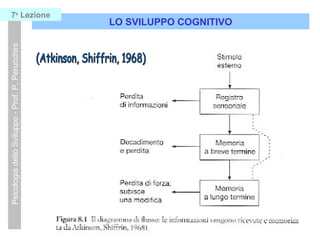 LO SVILUPPO COGNITIVO
PsicologiadelloSviluppo-Prof.P.Perucchini7a
Lezione
STRUTTURE
 