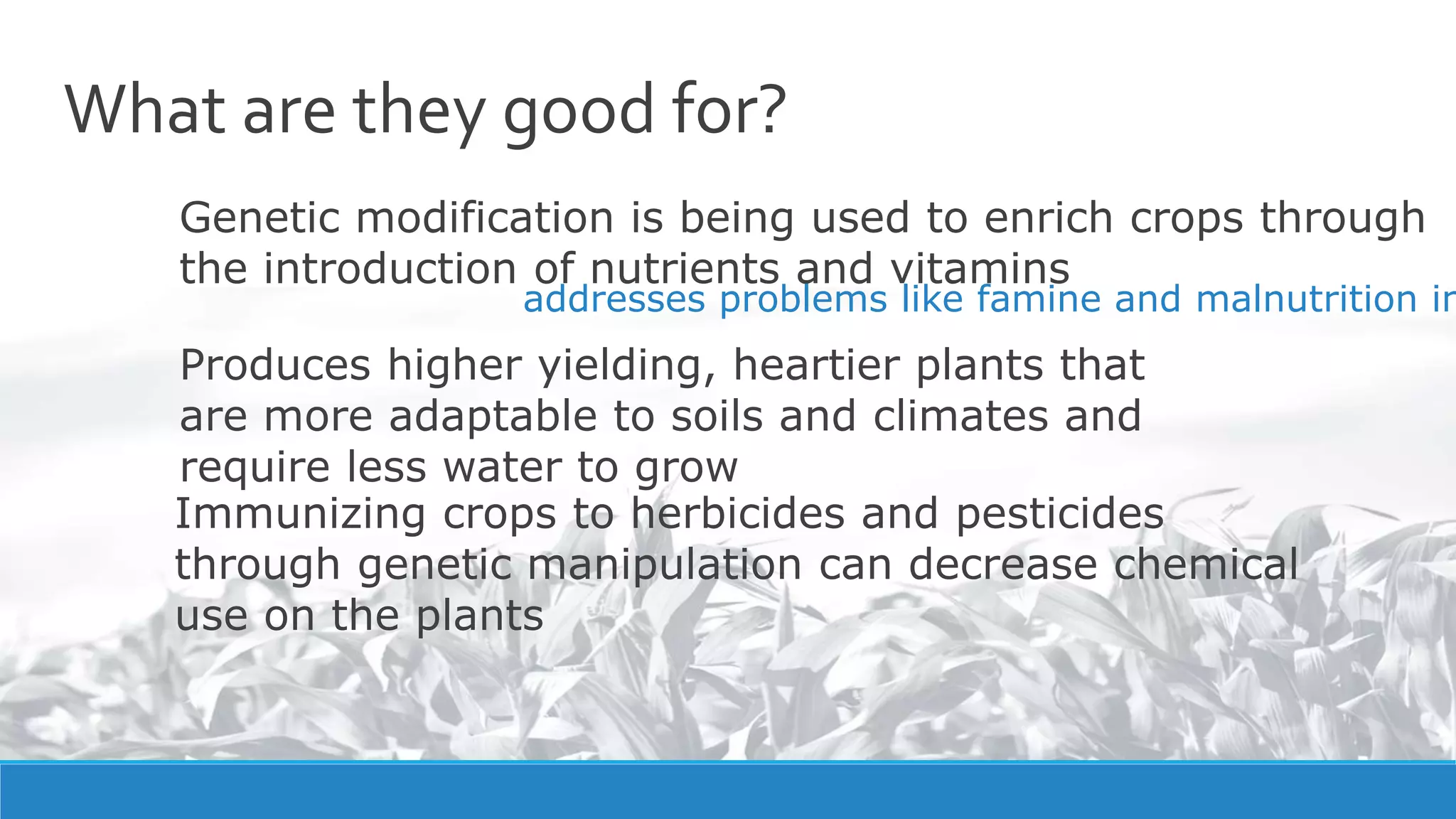 What are they good for?
Genetic modification is being used to enrich crops through
the introduction of nutrients and vitamins
addresses problems like famine and malnutrition in
Produces higher yielding, heartier plants that
are more adaptable to soils and climates and
require less water to grow
Immunizing crops to herbicides and pesticides
through genetic manipulation can decrease chemical
use on the plants
 