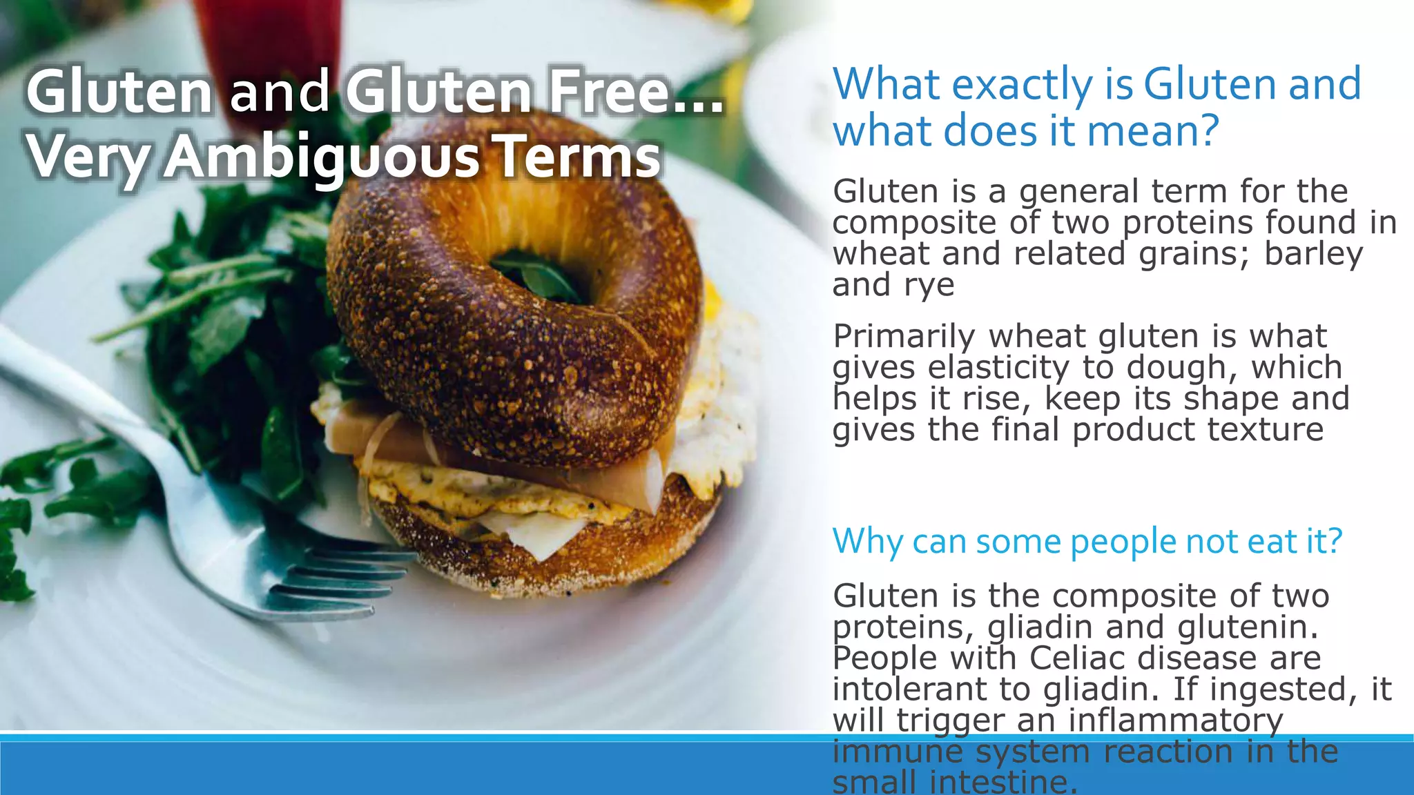 What exactly is Gluten and
what does it mean?
Gluten is a general term for the
composite of two proteins found in
wheat and related grains; barley
and rye
Primarily wheat gluten is what
gives elasticity to dough, which
helps it rise, keep its shape and
gives the final product texture
Why can some people not eat it?
Gluten is the composite of two
proteins, gliadin and glutenin.
People with Celiac disease are
intolerant to gliadin. If ingested, it
will trigger an inflammatory
immune system reaction in the
small intestine.
 