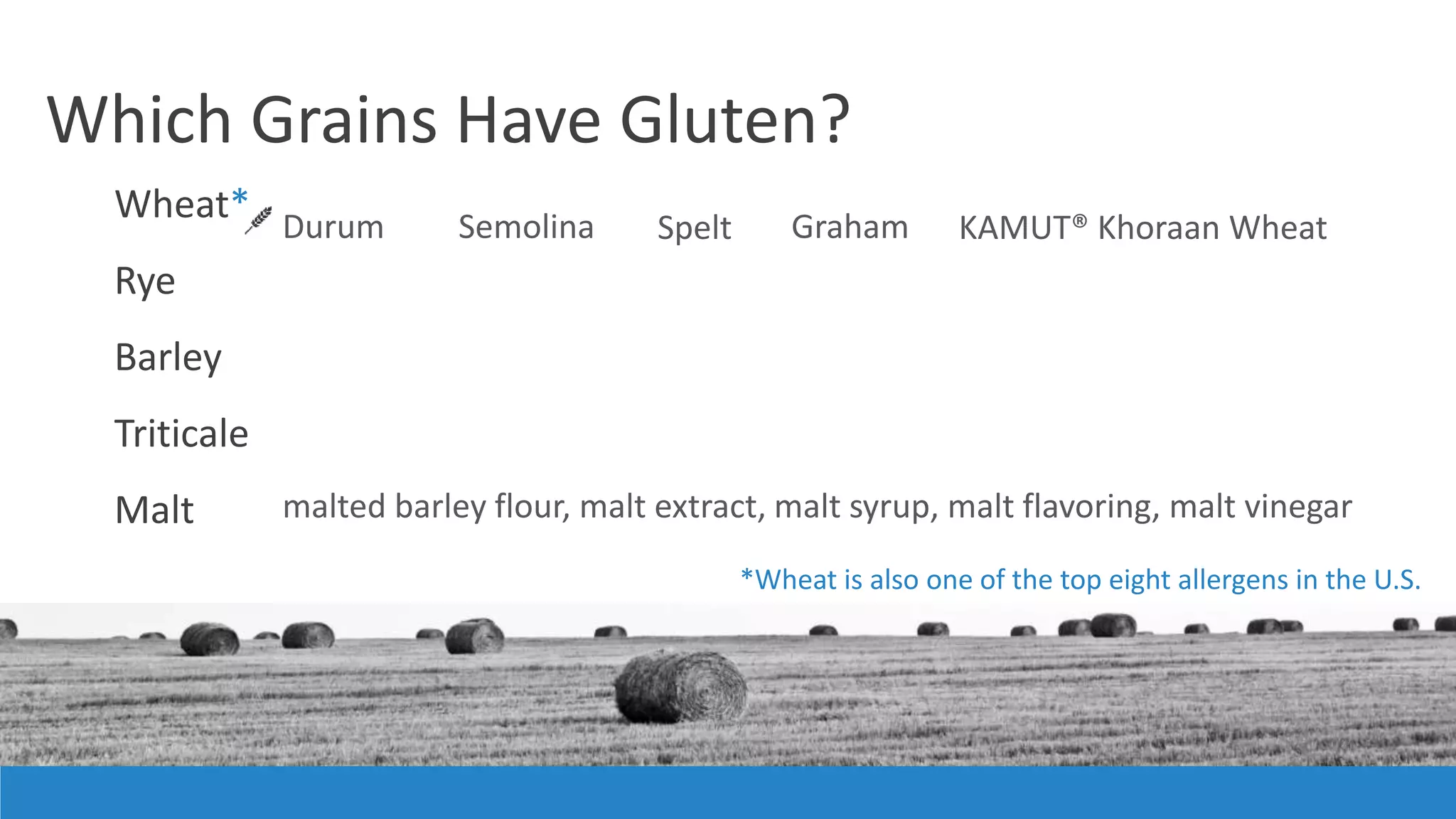 Which Grains Have Gluten?
Wheat*
Rye
Barley
Triticale
Malt
Durum
malted barley flour, malt extract, malt syrup, malt flavoring, malt vinegar
*Wheat is also one of the top eight allergens in the U.S.
Semolina Spelt Graham KAMUT® Khoraan Wheat
 