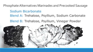 Phosphate Alternatives Marinades and Precooked Sausage
Sodium Bicarbonate
Blend A: Trehalose, Psyllium, Sodium Carbonate
Blend B: Trehalose, Psyllium, Vinegar Powder
 