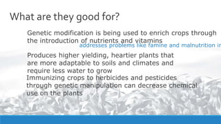What are they good for?
Genetic modification is being used to enrich crops through
the introduction of nutrients and vitamins
addresses problems like famine and malnutrition in
Produces higher yielding, heartier plants that
are more adaptable to soils and climates and
require less water to grow
Immunizing crops to herbicides and pesticides
through genetic manipulation can decrease chemical
use on the plants
 