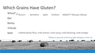 Which Grains Have Gluten?
Wheat*
Rye
Barley
Triticale
Malt
Durum
malted barley flour, malt extract, malt syrup, malt flavoring, malt vinegar
*Wheat is also one of the top eight allergens in the U.S.
Semolina Spelt Graham KAMUT® Khoraan Wheat
 
