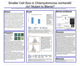 Smaller Cell Size in Chlamydomonas reinhardtii:
rls1 Mutant to Blame?Damaris Christelle Ngantche Mala, Julie Rost, Mintong Nan, Elisa McGrath-Martinez, Department of Biology, University of Maryland Baltimore County, Catonsville, MD
Introduction
Abstract
By studying the unicellular, Chlamydomonas reinhardtii, we
were able to gain vital information into how multicellularity
evolved. Our goal was to investigate the function of rls1
Tylen Darling (TD) by examining the phenotype of the gene
knockdown in Chlamydomonas reinhardtii. To do this, we
inserted an artificial microRNA sequence, rls1 TD, into our
plasmid in order to knockdown the rls1 gene. The genome
was then amplified so we could more easily observe and
measure cell size to investigate the effect on the phenotype.
From our investigation, we found that Chlamydomonas
reinhardtii cells containing the rls1 TD knockdown, is smaller
in size, compared to those of empty vector control cells.
Results
Discussion
During our research, we constructed an artificial microRNA
(rls1-knockdown (KD)) to turn off the expression of the rls1 gene
in Chlamydomonas reinhardtii. We were interested in identifying
the effect of the rls1 gene on the size of the cell during the
different stages of cell division.
The rls1-KD gene was cloned in E. coli, followed by PCR and
gel electrophoresis to identify which of the colonies had the rls1-
KD mutant inserted into them before transforming Chlamy. We
then inserted our rls1-KD into C. reinhardtii cells by performing a
Chlamy glass bead transformation, selective media was used to
confirm the Chlamy transformation. Once the colony was
identified, we cloned it and measured the diameter of the Chlamy
cells. Chlamy enters the exponential phase after 5 days of
growth, which is the most efficient time to measure the size and
rate of growth of these cells. To know whether there was a
difference in cell size, we compared them with the wild type cells
that contained an empty vector (as shown in Table 1). We then
conducted various statistical tests, including the t-test and the
one-way analysis of variance, in order to find any other relativities
or differences between the two. We discovered that the cell sizes
were highly significantly different by observing the p-value during
the t-test, which was less than 0.0001. Therefore, we concluded
that there is significant evidence that the rls1-KD mutant does
indeed affect the size of the cell during cell division.
In the future, we could run a northern blot to detect RNA size
and subtle changes in gene expression of the rls1-KD mutant
gene with that of the EV control gene (2).
References
1. Claassen LA. 2013. Syllabus Biology 306L-Projects in Molecular Biology, Fall 2013.
University of Maryland, Baltimore County. p. 1-16.
2. Gallagher SR, Wiley EA, editors. 2012. Current Protocols: Essential Laboratory
Techniques Hoboken, NJ: Wiley and Sons, Inc.
In the fall 2012
semester, students taking
BIOL 306L continued the
project started in the
laboratory of Dr. Stephen
Miller by former students,
Tylen Darling and
Figure 1 to the
left shows the
average cell size
(µm) for the EV
genotype and the
rls1-KD
genotype. The
error bars for
each genotype
represent the
standard error.
Table 1 above indicates a p-value of <0.0001. The statistical test
conducted was a two-independent samples pooled t-test for EV control
and rls1-KD genotypes with equal variances and sample sizes.
Table 2 above compares the average cell size (µm) for the EV control
genotype and the average cell size for the rls1-KD.
Figure 2 to the left shows the
distribution of cell sizes (µm)
for the rls1-KD genotype and
the distribution of cell sizes
(µm) for the EV control
genotype. The red dashed line
through the highest peak of
the distribution of cell sizes
(µm) for the EV control was
used to compare any shifts in
the rls1-KD genotype cell size
(µm) distribution from that of
the EV control cell size (µm)
distribution.
Table 2
Figure 2
Figure 1
6. Create Subculture
5. DNA
Sequencing
1. Insert rls1 TD
4. DNA Elution
7. Measure Cell
Size Using Microscopy
3. Gel Electrophoresis
2. GeneJet PCR
Methods and Materials
Jessica Allen. With an interest in how multicellularity
evolved, these students worked with a gene called rls which
stands for RegA-Like-Sequence. This gene is part of the
VARL family in the unicellular, flagellated species of the
Volvocine family of green algae called Chlamydomonas
reinhardtii. The RegA gene is a protein that functions to turns
off reproductive functions in somatic cells of another member
of the Volvocine family called Volvox carteri. While Chlamy is
unicellular, Volvox is multicellular, and so it was of interest to
find out why a protein that turns off reproductive functions
would be in Chlamy. (1)
Our group focused specifically on the rls1 gene of
Chlamy and its function. 12 months ago, Allen and Darling
proposed that knocking down the rls1 gene would cause the
cells to be smaller, and divide more often (1). To test their
conclusions, we created an artificial microRNA construct
which functioned to degrade the rls1 gene and observed the
difference in size of the cells to those of wild type Chlamy
cells during different stages of growth.
Table 1
 