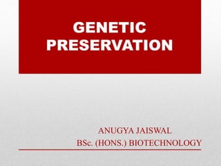 GENETIC
PRESERVATION
ANUGYA JAISWAL
BSc. (HONS.) BIOTECHNOLOGY
 