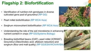 ICRISAT Global Planning Meeting 2019: CGIAR Research Program A4NH - ICRISAT & Nutrition