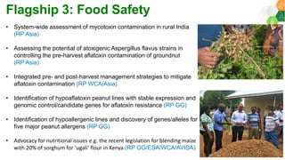 ICRISAT Global Planning Meeting 2019: CGIAR Research Program A4NH - ICRISAT & Nutrition