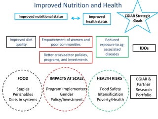 Improved Nutrition and Health 
Improved diet quality 
Reduced exposure to ag- associated diseases 
Empowerment of women and poor communities 
Better cross-sector policies, programs, and investments 
Improved nutritional status 
Improved health status 
IDOs 
CGIAR & Partner Research Portfolio 
FOOD 
Staples 
Perishables 
Diets in systems 
HEALTH RISKS 
Food Safety 
Intensification 
Poverty/Health 
IMPACTS AT SCALE 
Program Implementers 
Gender 
Policy/Investment 
CGIAR Strategic 
Goals  