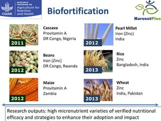 A4NH – Presentation for Discussion with Donors and Partners – June 2013