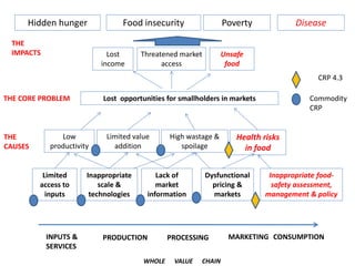 A4NH – Presentation for Discussion with Donors and Partners – June 2013