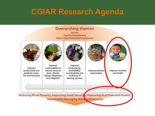 A4NH – Presentation for Discussion with Donors and Partners – June 2013