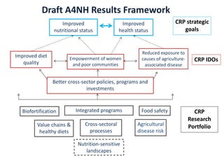 A4NH – Presentation for Discussion with Donors and Partners – June 2013