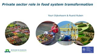 Youri Dijkxhoorn & Ruerd Ruben
Private sector role in food system tramsformation
 