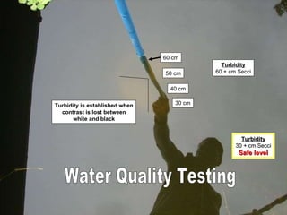 Water Quality Testing 30 cm 40 cm 50 cm 60 cm Turbidity 60 + cm Secci Turbidity 30 + cm Secci Safe level Turbidity is established when contrast is lost between white and black 