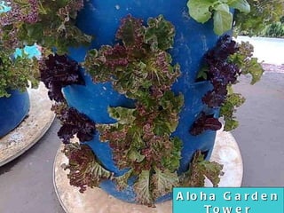 Aloha Garden Tower Vertical Food Production 