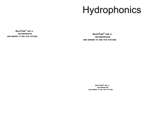 Hydrophonics 