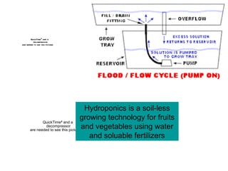 Hydroponics is a soil-less growing technology for fruits and vegetables using water and soluable fertilizers 