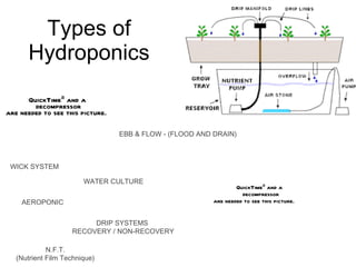 Types of Hydroponics AEROPONIC WICK SYSTEM WATER CULTURE EBB & FLOW - (FLOOD AND DRAIN) DRIP SYSTEMS  RECOVERY / NON-RECOVERY N.F.T. (Nutrient Film Technique) 