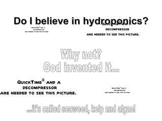 Do I believe in hydroponics? Why not? God invented it... ...it's called seaweed, kelp and algae! 