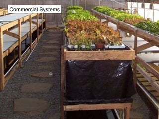 Commercial Systems 