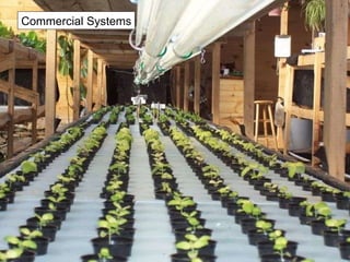 Commercial Systems 