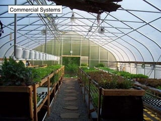 Commercial Systems 