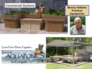 Murray Hallams Practical Aquaponics Commercial Systems 