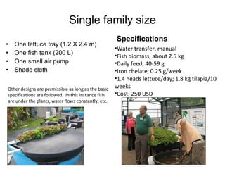 Single family size One lettuce tray (1.2 X 2.4 m) One fish tank (200 L) One small air pump Shade cloth Specifications Other designs are permissible as long as the basic specifications are followed.  In this instance fish are under the plants, water flows constantly, etc. Water transfer, manual Fish biomass, about 2.5 kg Daily feed, 40-59 g Iron chelate, 0.25 g/week 1.4 heads lettuce/day; 1.8 kg tilapia/10 weeks Cost, 250 USD 