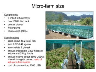 Micro-farm size Components 8 linked lettuce trays one 1600 L fish tank one air blower water pump Shade cloth (50%) Specifications stock about 19.2 kg of fish feed 0.32-0.47 kg/day iron chelate 2 g/week annual production, 3300 heads of lettuce and 75 kg tilapia annual income about 8600 USD at Hawaii farmgate prices …ratio of lettuce to fish income cost of construction, 2500 USD 