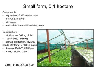 Small farm, 0.1 hectare Components equivalent of 270 lettuce trays 54,000 L in tanks air blower recirculate water with a water pump Specifications stock about 648 kg of fish daily feed, 11-16 kg annual production, 112,000 heads of lettuce, 2,500 kg tilapia Income 234,000 USD/year Cost, <80,000 USD Cost: P40,000,000/h 
