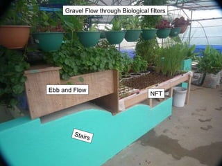 Ebb and Flow Gravel Flow through Biological filters NFT Stairs 