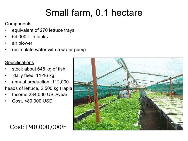 A4 Aquaponics - plant and commercial