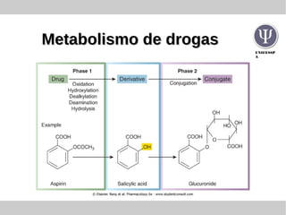 UNIFESSP
A
Metabolismo de drogasMetabolismo de drogas
 