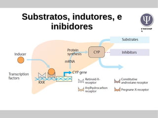 UNIFESSP
A
Substratos, indutores, eSubstratos, indutores, e
inibidoresinibidores
 