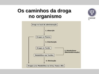 UNIFESSP
A
Os caminhos da drogaOs caminhos da droga
no organismono organismo
 