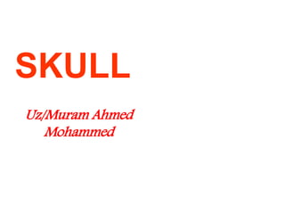 SKULL
Uz/Muram Ahmed
Mohammed
 