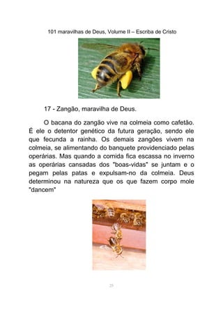 101 maravilhas de Deus, Volume II – Escriba de Cristo
17 - Zangão, maravilha de Deus.
O bacana do zangão vive na colmeia como cafetão.
É ele o detentor genético da futura geração, sendo ele
que fecunda a rainha. Os demais zangões vivem na
colmeia, se alimentando do banquete providenciado pelas
operárias. Mas quando a comida fica escassa no inverno
as operárias cansadas dos "boas-vidas" se juntam e o
pegam pelas patas e expulsam-no da colmeia. Deus
determinou na natureza que os que fazem corpo mole
"dancem"
25
 