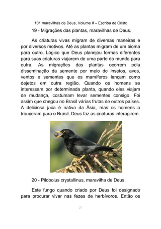 101 maravilhas de Deus, Volume II – Escriba de Cristo
19 - Migrações das plantas, maravilhas de Deus.
As criaturas vivas migram de diversas maneiras e
por diversos motivos. Até as plantas migram de um bioma
para outro. Lógico que Deus planejou formas diferentes
para suas criaturas viajarem de uma parte do mundo para
outra. As migrações das plantas ocorrem pela
disseminação da semente por meio de insetos, aves,
ventos e sementes que os mamíferos lançam como
dejetos em outra região. Quando os homens se
interessam por determinada planta, quando eles viajam
de mudança, costumam levar sementes consigo. Foi
assim que chegou no Brasil várias frutas de outros países.
A deliciosa jaca é nativa da Ásia, mas os homens a
trouxeram para o Brasil. Deus faz as criaturas interagirem.
20 - Pilobolus crystallinus, maravilha de Deus.
Este fungo quando criado por Deus foi designado
para procurar viver nas fezes de herbívoros. Então os
27
 