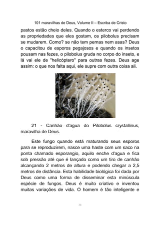 101 maravilhas de Deus, Volume II – Escriba de Cristo
pastos estão cheio deles. Quando o esterco vai perdendo
as propriedades que eles gostam, os pilobolus precisam
se mudarem. Como? se não tem pernas nem asas? Deus
o capacitou de esporos pegajosos e quando os insetos
pousam nas fezes, o pilobolus gruda no corpo do inseto, e
lá vai ele de "helicóptero" para outras fezes. Deus age
assim: o que nos falta aqui, ele supre com outra coisa ali.
21 - Canhão d'agua do Pilobolus crystallinus,
maravilha de Deus.
Este fungo quando está maturando seus esporos
para se reproduzirem, nasce uma haste com um saco na
ponta chamado esporangio, aquilo enche d'agua e fica
sob pressão até que é lançado como um tiro de canhão
alcançando 2 metros de altura e podendo chegar a 2,5
metros de distância. Esta habilidade biológica foi dada por
Deus como uma forma de disseminar esta minúscula
espécie de fungos. Deus é muito criativo e inventou
muitas variações de vida. O homem é tão inteligente e
28
 