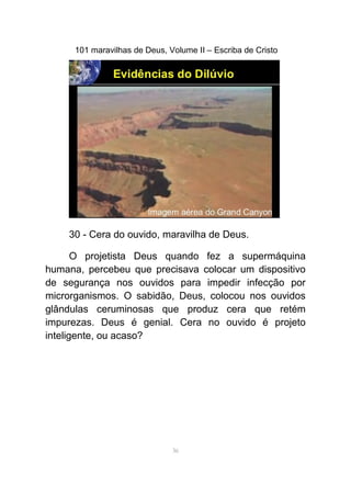 101 maravilhas de Deus, Volume II – Escriba de Cristo
30 - Cera do ouvido, maravilha de Deus.
O projetista Deus quando fez a supermáquina
humana, percebeu que precisava colocar um dispositivo
de segurança nos ouvidos para impedir infecção por
microrganismos. O sabidão, Deus, colocou nos ouvidos
glândulas ceruminosas que produz cera que retém
impurezas. Deus é genial. Cera no ouvido é projeto
inteligente, ou acaso?
36
 