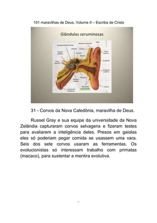 101 maravilhas de Deus, Volume II – Escriba de Cristo
31 - Corvos da Nova Caledônia, maravilha de Deus.
Russel Gray e sua equipe da universidade da Nova
Zelândia capturaram corvos selvagens e fizeram testes
para avaliarem a inteligência deles. Presos em gaiolas
eles só poderiam pegar comida se usassem uma vara.
Seis dos sete corvos usaram as ferramentas. Os
evolucionistas só interessam trabalho com primatas
(macaco), para sustentar a mentira evolutiva.
37
 
