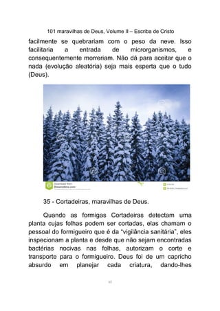 101 maravilhas de Deus, Volume II – Escriba de Cristo
facilmente se quebrariam com o peso da neve. Isso
facilitaria a entrada de microrganismos, e
consequentemente morreriam. Não dá para aceitar que o
nada (evolução aleatória) seja mais esperta que o tudo
(Deus).
35 - Cortadeiras, maravilhas de Deus.
Quando as formigas Cortadeiras detectam uma
planta cujas folhas podem ser cortadas, elas chamam o
pessoal do formigueiro que é da “vigilância sanitária”, eles
inspecionam a planta e desde que não sejam encontradas
bactérias nocivas nas folhas, autorizam o corte e
transporte para o formigueiro. Deus foi de um capricho
absurdo em planejar cada criatura, dando-lhes
40
 