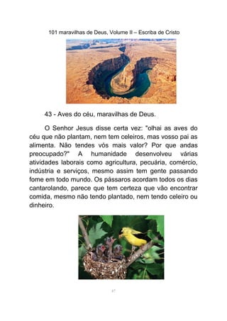101 maravilhas de Deus, Volume II – Escriba de Cristo
43 - Aves do céu, maravilhas de Deus.
O Senhor Jesus disse certa vez: "olhai as aves do
céu que não plantam, nem tem celeiros, mas vosso pai as
alimenta. Não tendes vós mais valor? Por que andas
preocupado?" A humanidade desenvolveu várias
atividades laborais como agricultura, pecuária, comércio,
indústria e serviços, mesmo assim tem gente passando
fome em todo mundo. Os pássaros acordam todos os dias
cantarolando, parece que tem certeza que vão encontrar
comida, mesmo não tendo plantado, nem tendo celeiro ou
dinheiro.
47
 