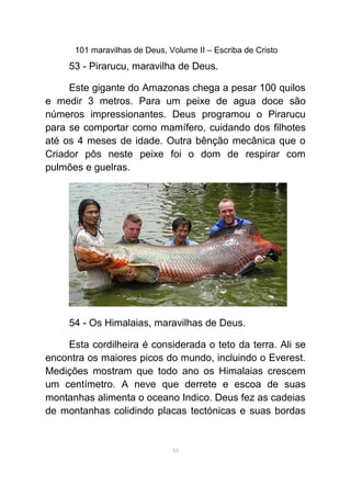 101 maravilhas de Deus, Volume II – Escriba de Cristo
53 - Pirarucu, maravilha de Deus.
Este gigante do Amazonas chega a pesar 100 quilos
e medir 3 metros. Para um peixe de agua doce são
números impressionantes. Deus programou o Pirarucu
para se comportar como mamífero, cuidando dos filhotes
até os 4 meses de idade. Outra bênção mecânica que o
Criador pôs neste peixe foi o dom de respirar com
pulmões e guelras.
54 - Os Himalaias, maravilhas de Deus.
Esta cordilheira é considerada o teto da terra. Ali se
encontra os maiores picos do mundo, incluindo o Everest.
Medições mostram que todo ano os Himalaias crescem
um centímetro. A neve que derrete e escoa de suas
montanhas alimenta o oceano Indico. Deus fez as cadeias
de montanhas colidindo placas tectónicas e suas bordas
55
 
