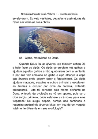 101 maravilhas de Deus, Volume II – Escriba de Cristo
se elevaram. Eu vejo vestígios, pegadas e assinaturas de
Deus em todas as suas obras.
55 - Cipós, maravilhas de Deus.
Quando Deus fez as árvores, ele também achou útil
e belo fazer os cipós. Os cipós se enrolam nos galhos e
ajudam aqueles galhos a não quebrarem com a ventania
e por sua vez enrolado no galho o cipó alcança a copa
das árvores onde podem fazer a fotossíntese. Os cipós
ajudam macacos, esquilos e outros animais a escalarem
as árvores e circular por cima da floresta, evitando
predadores. Tudo foi pensado pela mente brilhante de
Deus. A teoria da evolução se vê em apuros, pois se o
cipó surgiu primeiro, onde estavam as árvores para elas
treparem? Se surgiu depois, porque não continuou a
natureza produzindo árvores altas, em vez de um vegetal
totalmente diferente em sua morfologia?
56
 