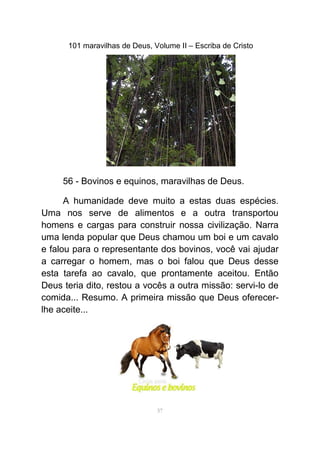101 maravilhas de Deus, Volume II – Escriba de Cristo
56 - Bovinos e equinos, maravilhas de Deus.
A humanidade deve muito a estas duas espécies.
Uma nos serve de alimentos e a outra transportou
homens e cargas para construir nossa civilização. Narra
uma lenda popular que Deus chamou um boi e um cavalo
e falou para o representante dos bovinos, você vai ajudar
a carregar o homem, mas o boi falou que Deus desse
esta tarefa ao cavalo, que prontamente aceitou. Então
Deus teria dito, restou a vocês a outra missão: servi-lo de
comida... Resumo. A primeira missão que Deus oferecer-
lhe aceite...
57
 