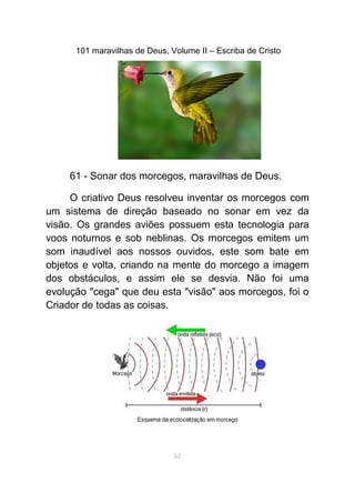 101 maravilhas de Deus, Volume II – Escriba de Cristo
61 - Sonar dos morcegos, maravilhas de Deus.
O criativo Deus resolveu inventar os morcegos com
um sistema de direção baseado no sonar em vez da
visão. Os grandes aviões possuem esta tecnologia para
voos noturnos e sob neblinas. Os morcegos emitem um
som inaudível aos nossos ouvidos, este som bate em
objetos e volta, criando na mente do morcego a imagem
dos obstáculos, e assim ele se desvia. Não foi uma
evolução "cega" que deu esta "visão" aos morcegos, foi o
Criador de todas as coisas.
62
 