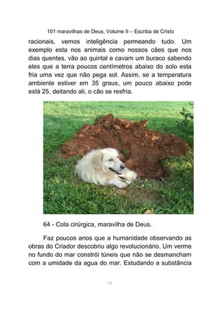 101 maravilhas de Deus, Volume II – Escriba de Cristo
racionais, vemos inteligência permeando tudo. Um
exemplo esta nos animais como nossos cães que nos
dias quentes, vão ao quintal e cavam um buraco sabendo
eles que a terra poucos centímetros abaixo do solo esta
fria uma vez que não pega sol. Assim, se a temperatura
ambiente estiver em 35 graus, um pouco abaixo pode
está 25, deitando ali, o cão se resfria.
64 - Cola cirúrgica, maravilha de Deus.
Faz poucos anos que a humanidade observando as
obras do Criador descobriu algo revolucionário. Um verme
no fundo do mar constrói túneis que não se desmancham
com a umidade da agua do mar. Estudando a substância
64
 