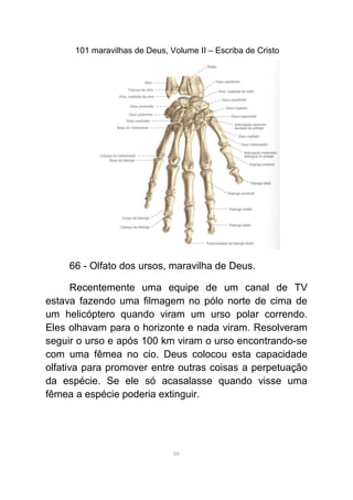 101 maravilhas de Deus, Volume II – Escriba de Cristo
66 - Olfato dos ursos, maravilha de Deus.
Recentemente uma equipe de um canal de TV
estava fazendo uma filmagem no pólo norte de cima de
um helicóptero quando viram um urso polar correndo.
Eles olhavam para o horizonte e nada viram. Resolveram
seguir o urso e após 100 km viram o urso encontrando-se
com uma fêmea no cio. Deus colocou esta capacidade
olfativa para promover entre outras coisas a perpetuação
da espécie. Se ele só acasalasse quando visse uma
fêmea a espécie poderia extinguir.
66
 